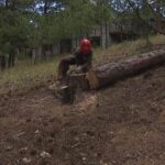 Mitigation with yet another purpose: Training future firefighters in Colorado