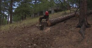 Mitigation with yet another purpose: Training future firefighters in Colorado