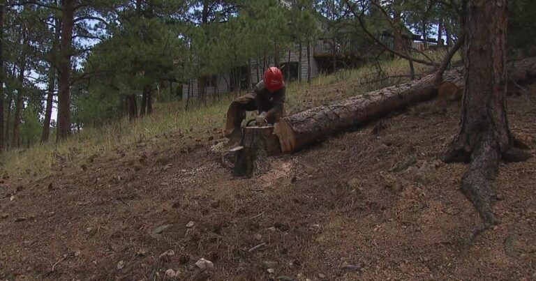 Mitigation with yet another purpose: Training future firefighters in Colorado